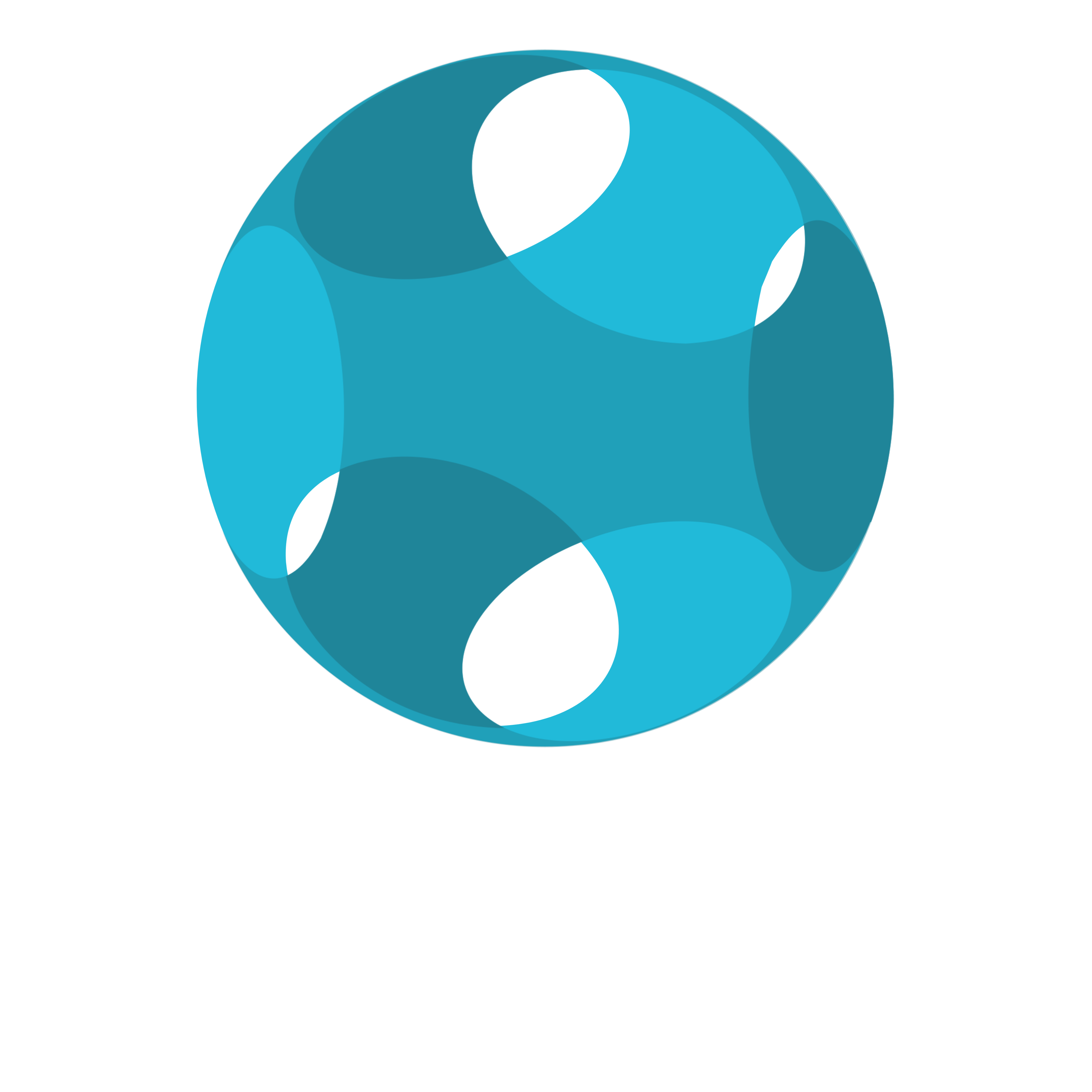 Donata Savini